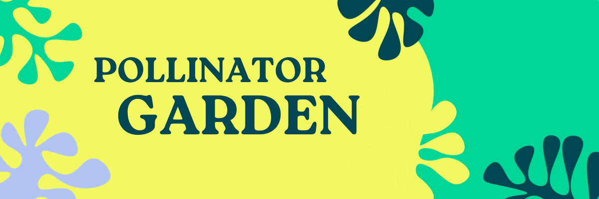 Pollinator Garden